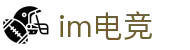 IM(股份有限公司)电竞-电子竞技平台